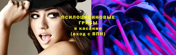 марихуана Абаза