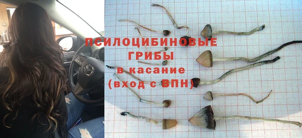 стафф Абдулино