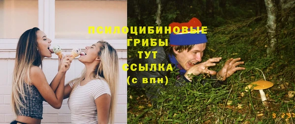 марихуана Абаза