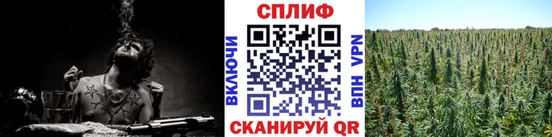 Бошки Шишки Ganja  Владикавказ 